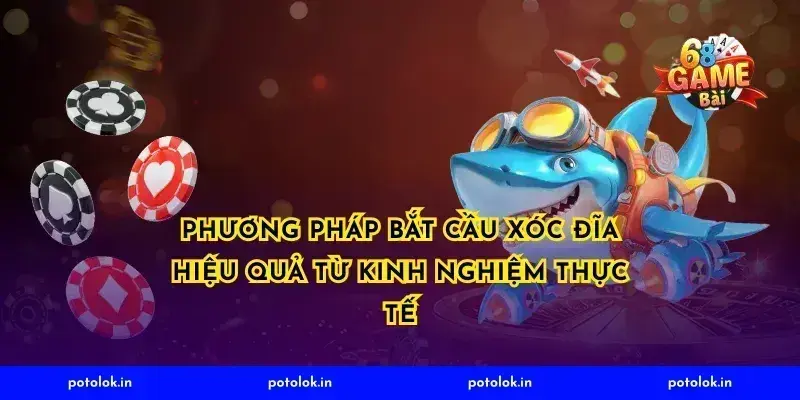 Phương Pháp Bắt Cầu Xóc Đĩa Hiệu Quả Từ Kinh Nghiệm Thực Tế