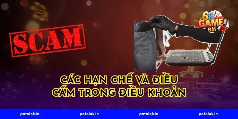Các Hạn Chế Và Điều Cấm Trong Điều Khoản