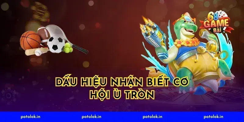 Dấu hiệu nhận biết cơ hội ù tròn